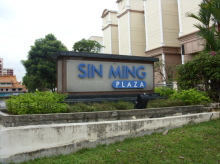 Sin Ming Plaza (D20), Apartment #1066462